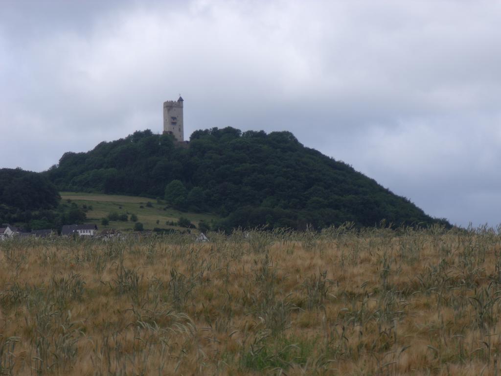 Ferienwohnung Am Waldrand Bad Breisig Buitenkant foto