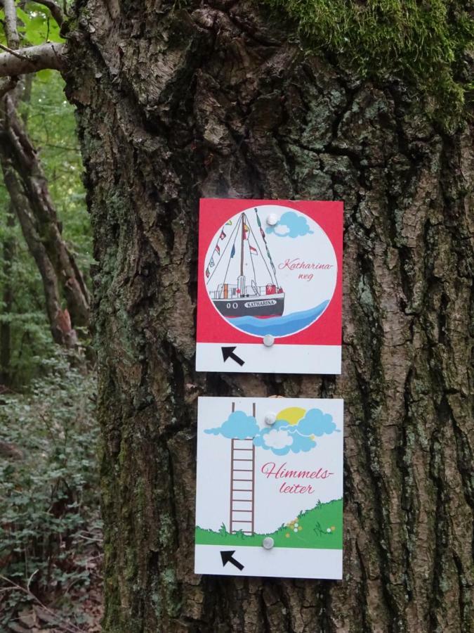 Ferienwohnung Am Waldrand Bad Breisig Buitenkant foto
